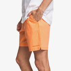 Quiksilver Taxer WS Shorts