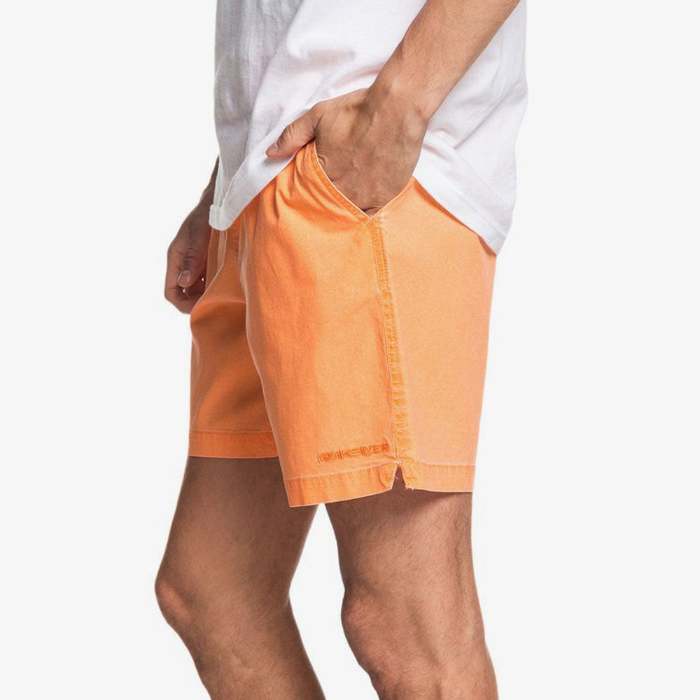 Quiksilver Taxer WS Shorts