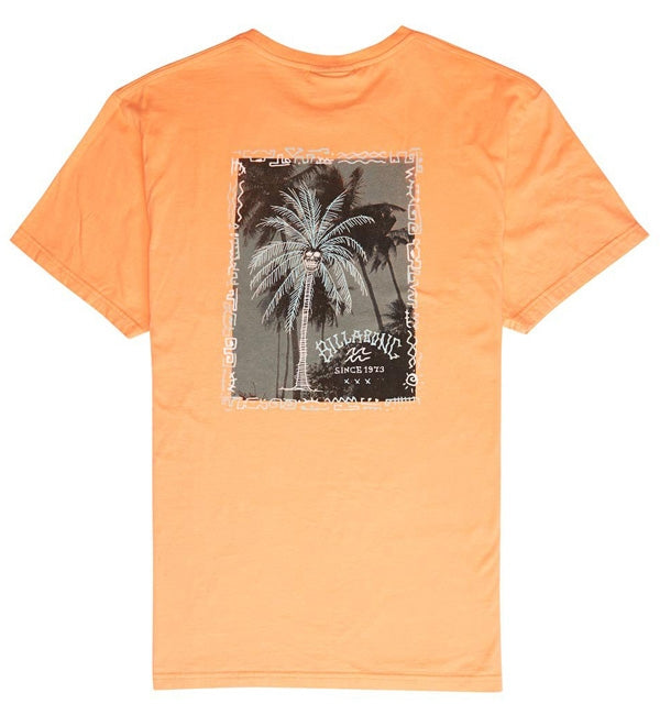 Billabong Get Back Short Sleeved Tshirt