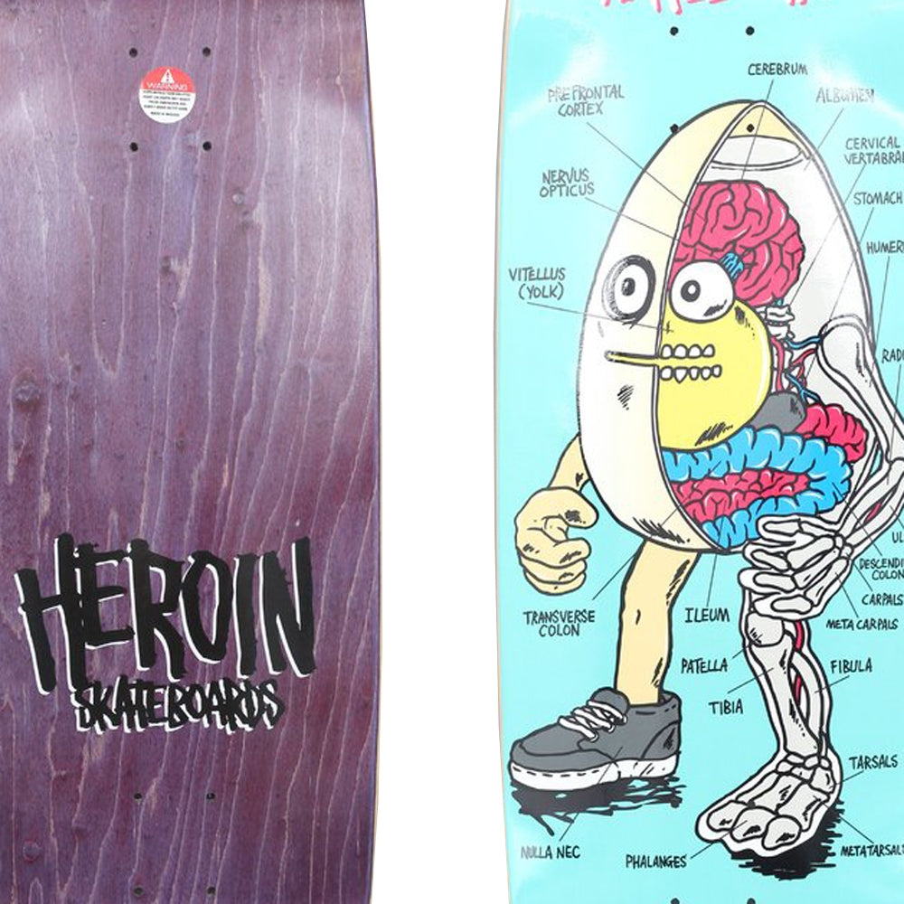 Heroin Anatomy of an Egg 9.4