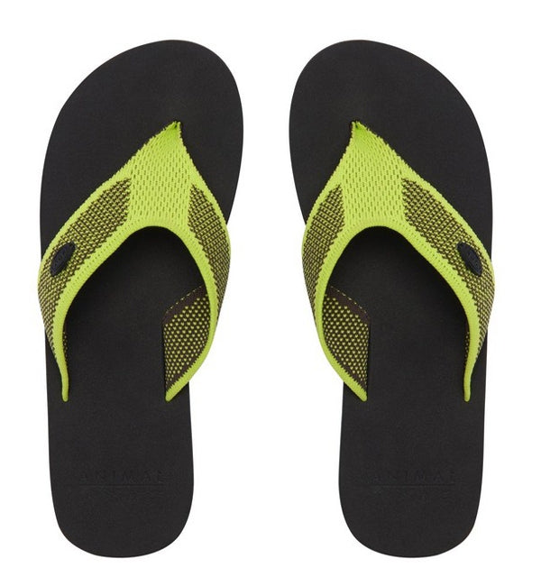 Animal Martina Womens Flip Flop