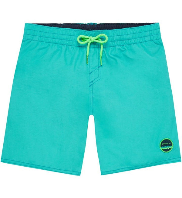 O'Neill Boys Vert Boardshorts