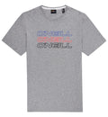 O'Neill Triple Logo Short Sleeved T-Shirt