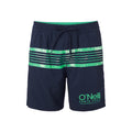 O'Neill Cali Stripe Boardshorts