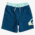 Quiksilver Youth Dredge Volley 15 Boardshorts