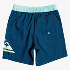 Quiksilver Youth Dredge Volley 15 Boardshorts
