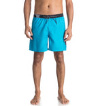 Quiksilver Lava Logo Volley 17 Swim Shorts
