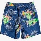 Quiksilver Youth Paradise Express Volley 15 Boardshorts