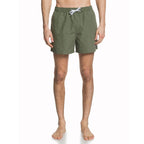 Quiksilver Everyday Volley 15 Shorts