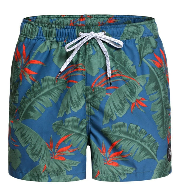 Quiksilver Poolsider Volley 15 Boardshorts