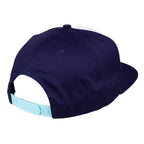 Santa Cruz Not A Dot Snapback Cap