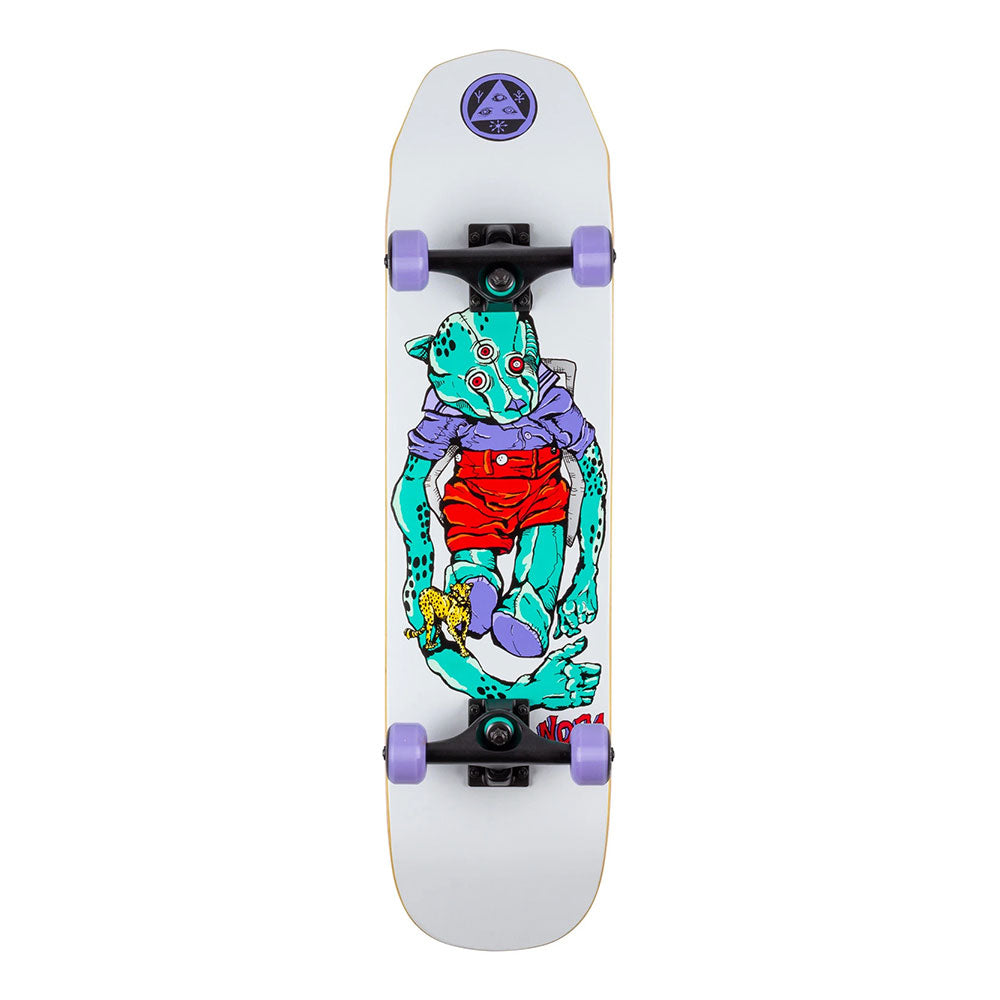 Welcome Teddy 7.75" Complete Skateboard